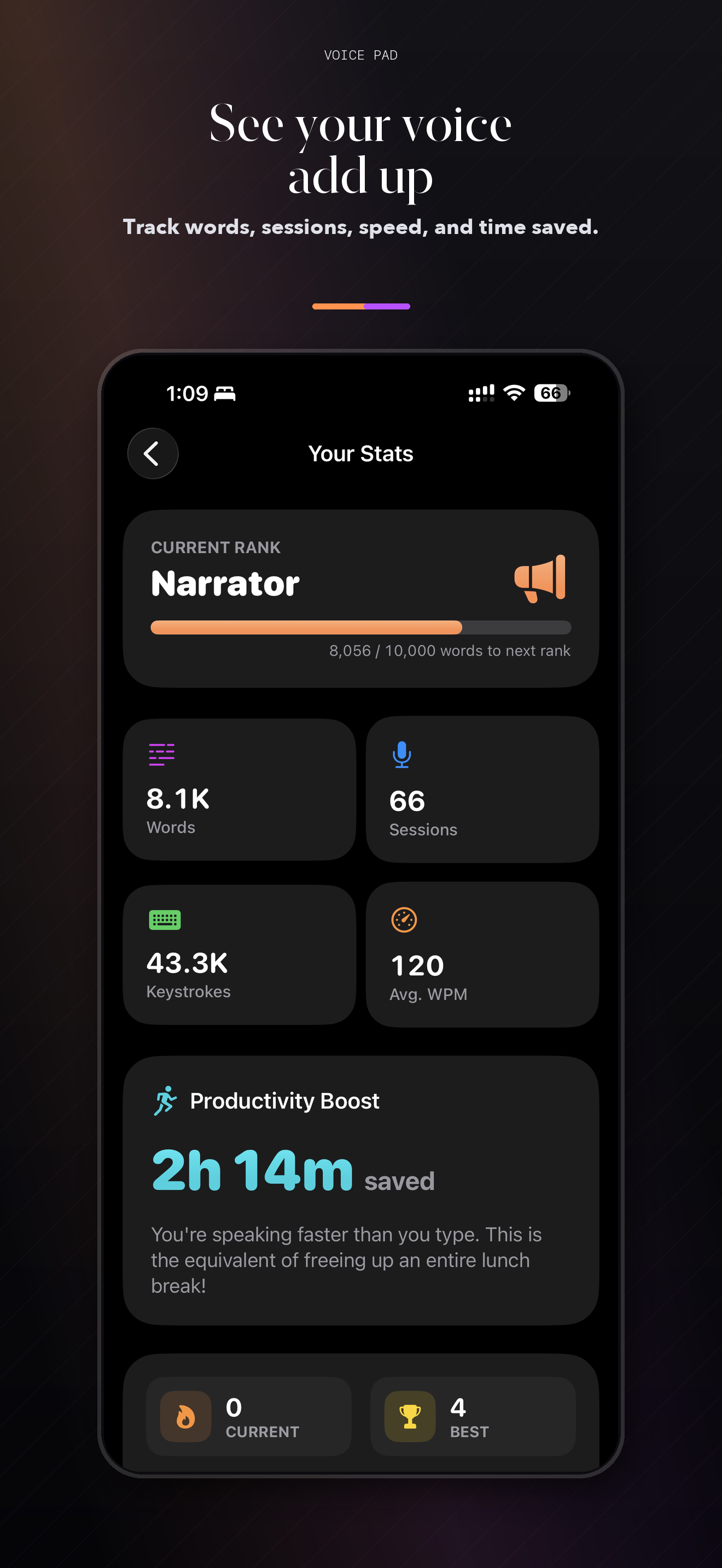 Voice Pad stats screenshot